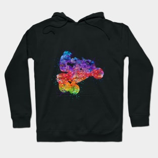 Four Wheeler Riding Boy Watercolor Silhouette Hoodie